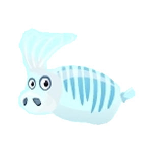 Glass Piglet Squid